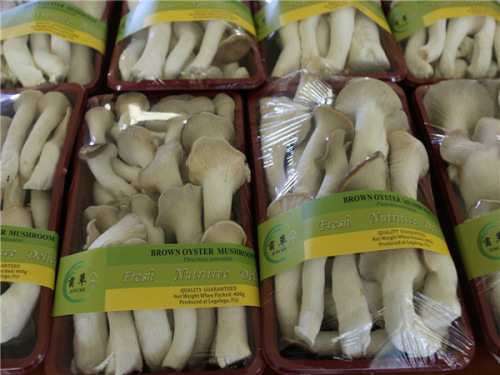 Mushrooms produced in Fuji with Chinese technology. (Photo/Xinhua)