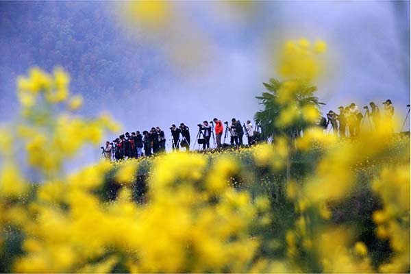 The county of Wuyuan in Jiangxi province attracts tourists from around the country for the blooming rapeseed in spring, and a variety of cultural and natural spots.