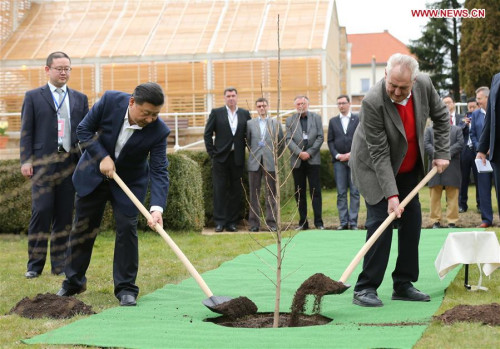 Chinese President Xi Jinping (L front) and Czech President Milos Zeman (R front) plant a a ginkgo biloba tree sapling from China before their meeting at the Lany presidential chateau in central Bohemia, Czech Republic, March 28, 2016. Xi started a three-day state visit to the Czech Republic from Monday, the first state visit by a Chinese president in 67 years since the two countries established diplomatic ties. (Xinhua/Lan Hongguang)