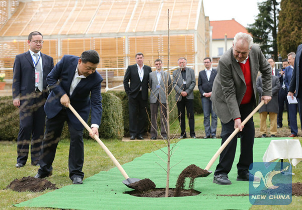 Chinese President Xi Jinping (L front) and Czech President Milos Zeman (R front) plant a a ginkgo sapling from China before their meeting at the Lany presidential chateau in central Bohemia, the Czech Republic, March 28, 2016. (Xinhua/Lan Hongguang)