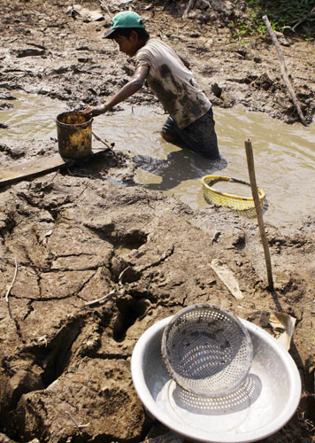 A boy looks for fish in a nearly dry canal in the Long Phu district in the Mekong Delta province of Soc Trang in early March. Photos by Xinhua, Wang Jian / China Daily and provided to China Daily