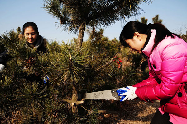 Residents trim trees in the economic development zone in Qingdao, Shandong province, in March. (Photo by Yu Fangping / China Daily)