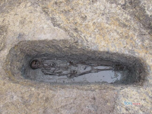 (Photo/www.scol.com.cn)