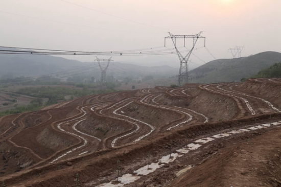 A view of a modern agricultural plantation in Xiahuanghao, Lianggezhuang township, Yixian county, Hebei province, on April 27, 2016.  (Photo provided to chinadaily.com.cn)