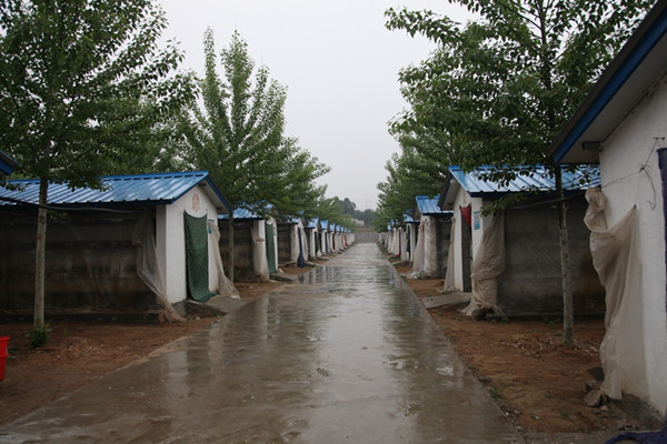 There are 32 rabbit dorms in the farm. (Photo by Li Jia provided to chinadaily.com.cn)
