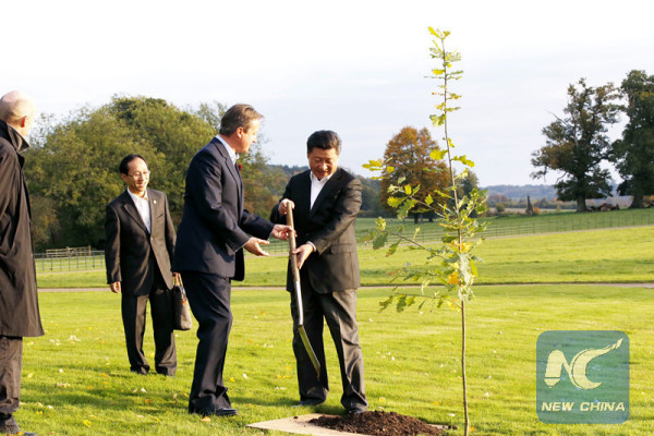 Chinese President Xi Jinping (R) and British Prime Minister David Cameron (2nd R) plant an oak tree in Cameron's country retreat, Chequers, Britain, Oct. 22, 2015. (Xinhua file photo/Ju Peng)