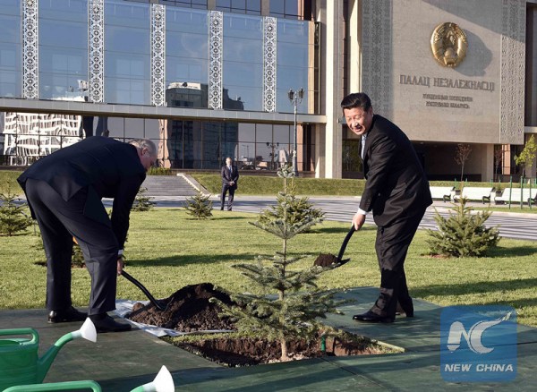 Chinese President Xi Jinping (R) and Belarusian President Alexander Lukashenko plant a dragon spruce tree in Minsk, capital of Belarus, May 10, 2015. (Xinhua file photo/Li Tao)