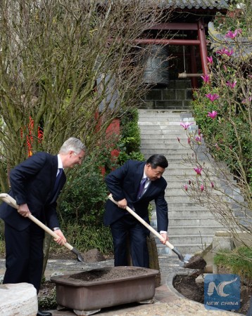 Chinese President Xi Jinping (R) and Belgian King Philippe shovel soil on a magnolia tree at the Pairi Daiza zoo in Brugelette, Belgium, March 30, 2014. (Xinhua file photo/Ma Zhancheng)