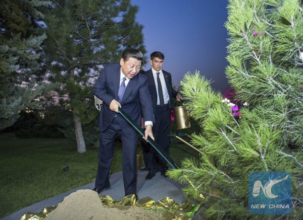 Chinese President Xi Jinping (front) earths up a firry tree in Ashkhabad, capital of Turkmenistan, Sept. 3, 2013. (Xinhua file photo/Wang Ye)
