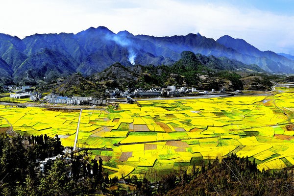 Breathtaking rapeseed blooms in Tongren, Guizhou province, draw visitors every spring. (Photo provided to China Daily)