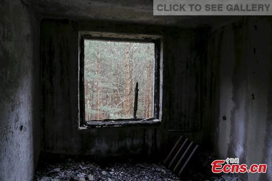 Trees stand outside a window of an apartment which was evacuated after an explosion at the Chernobyl nuclear power plant, in the ghost town of Pripyat, Ukraine, April 18, 2016.(Photo/Agencies)