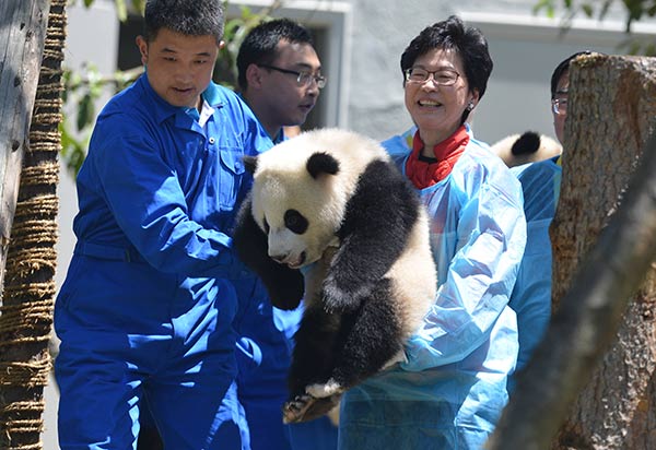 Hong Kong official Carrie Lam Cheng Yuetngor (right) holds a panda cub during a visit to Wolong National Nature Reserve in Sichuan province on Wednesday. Zhang Lang / China News Service