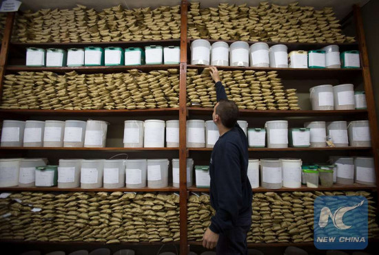 Image taken on May 11, 2016, of an employee storing a backup sample of soy seeds, in the Soy Gathering, Conditioning and Marketing Plant of the agricultural cooperative Argentine Federated Farmers in Maciel city, Santa Fe province, Argentina. (Xinhua/Martin Zabala)