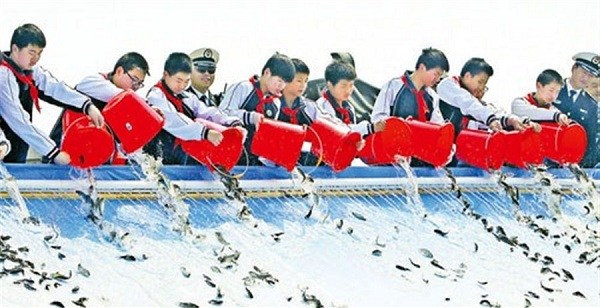 Students release fish fry into the Huangpu River, helping the annual restocking.(Photo/Shanghai Daily)