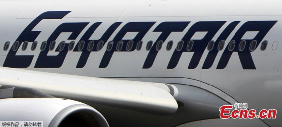 An EgyptAir plane is seen on the runway at Cairo Airport, Egypt in this September 5, 2013 file photo. (Photo/Agencies)
