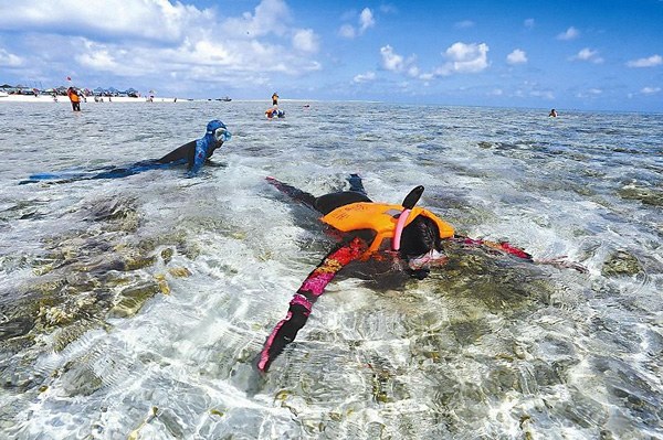 Tourists experience diving at Yinyu, one of the Xisha Islands in South China's Hainan province. The first group of tourists visited the islands after the route from Sanya went into operation in 2014. (Photo/Xinhua)