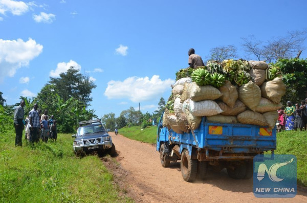 Photo taken on Nov. 26, 2015 shows a truck loaded with sacks of agricultural produce along the muddy Sironko-Mbale road at Bugusege trading centre, eastern Uganda. (Photo: Xinhua/Daniel Edyegu)