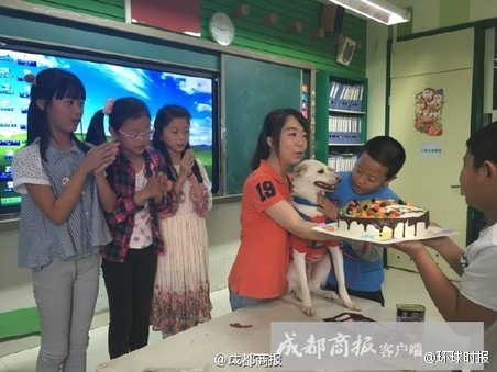 Students at Caotang Primary School in Chengdu celebrate the birthday, also the anniversary of their adoption, of the stray dog Xile. (Photo/Weibo)