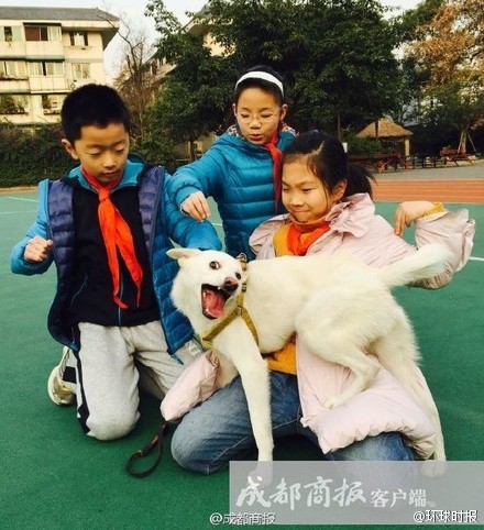 Xile has become a star at school. (Photo/Weibo)