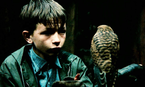 A scene from Kes. (Photo/Mtime)