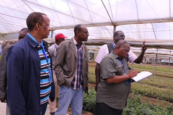 Agricultural officials and representatives from Kenya, Zimbabwe, and Mozambique visit the greenhouses in Liuqiao village, Heliu town of Anhui province, June 3, 2016. (Photo by Yan Dongjie/chinadaily.com.cn)