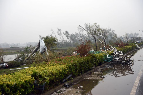 Photo taken on June 23, 2016 shows a tornado-damaged power pole in Funing County, Yancheng, east China's Jiangsu Province. (Photo: Xinhua/Yang Ya)