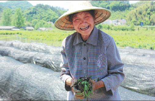 Cheng Shilian among her fields of tea seedlings in Niujiaochong village, Huoshan county, Anhui province. (Zhu Lixin / China Daily)