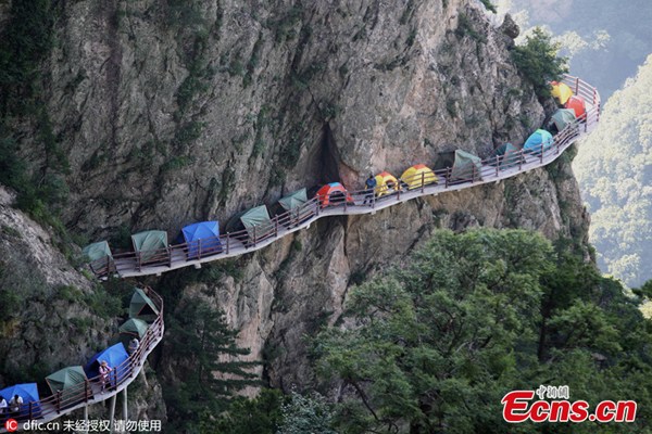 Backpackers set up tents on a plank road on a cliff in Laojun Mountain in Luoyang, Henan province, July 16, 2016. (Photo/IC)