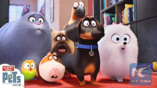 A poster for the film the Secret Life of Pets, which was put on the big screen on July 8, 2016. (Web Pick)