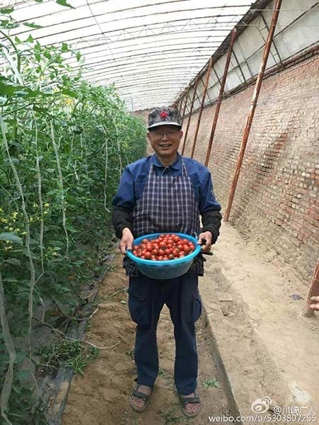 Kawasaki carries a basket of tomatoes. (Photo from Sina Weibo)
