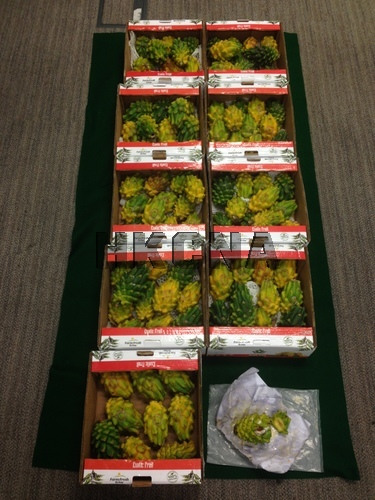 (Photo provided by Hong Kong China News Agency)