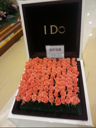 Photo taken on August 1, 2016 shows beautiful roses displayed at a shopping mall in Beijing, capital of China. 