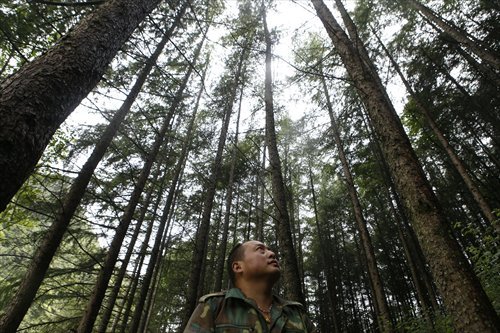 Wan Yong, a ranger for the Shennongjia Forestry District (Photo: Li Hao/GT)