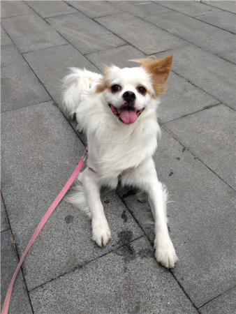 Baobao (Photo: China Daily/Yang Yang)