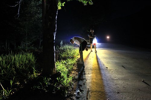 The cicada hunter surnamed Li and his wife catch cicadas at night. 