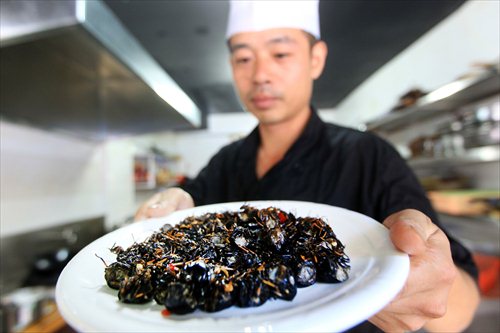 In summer, fried cicadas are a popular dish in Lishui, Zhejiang Province. (Photos: Yang Hui/GT)