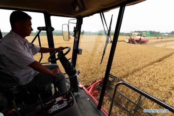 A man drives a reaper on farmlands in Liangshan Village of Jiaxiang County in Jining, east China's Shandong Province, June 2, 2016. (Photo/Xinhua) A man drives a reaper on farmlands in Liangshan Village of Jiaxiang County in Jining, east China's Shandong Province, June 2, 2016. (Photo/Xinhua)