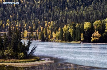 Photo taken on Sept. 17, 2015 shows autumn scenery of Kanas scenic area, northwest China's Xinjiang Uygur Autonomous Region. Kanas scenic area boasts pristine lakes, glaciers, forests and grasslands. By Sept.17, the number of visitors in Kanas has surpassed 560,000 this year, 84 percent higher than that in the same period of last year. (Photo: Xinhua/Zhao Ge)