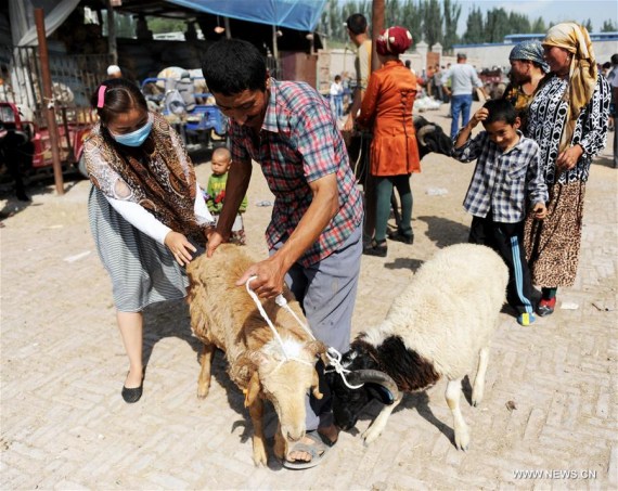 People buy sheep at a livestock bazaar in Aksu, northwest China's Xinjiang Uygur Autonomous Region, Sept. 11, 2016. Local Muslims prepared for the upcoming Corban Festival, also known as Eid al-Adha or the feast of the sacrifice, in various ways. (Photo: Xinhua/Wei Hai)