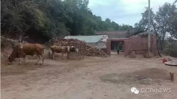 The small village in northwest China's Gansu province which saw a whole family poisoned. (Photo/CCTV)