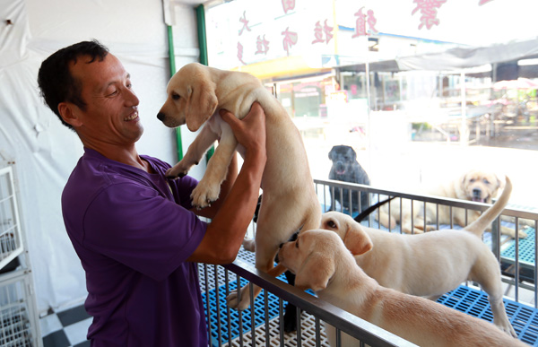 Guo Jishi is the co-owner of one of the shops in Liyuan dog market. (Photo by Zou Hong/China Daily)