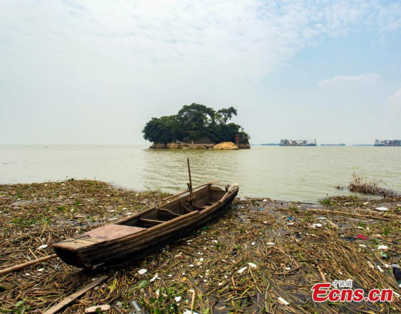 The water falls below the alert level in Poyang Lake, Chinas largest freshwater lake, in East Chinas Jiangxi Province, Aug. 6, 2016. (Photo: China News Service/Fu Jianbin)