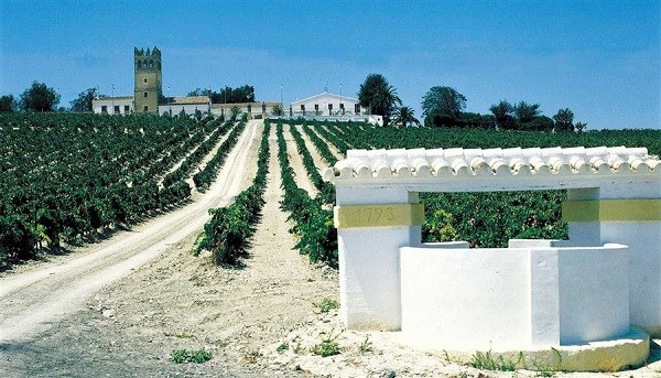The Jerez-Xeres-Sherry D.O. wine region is located in the southernmost wine region in Europe.