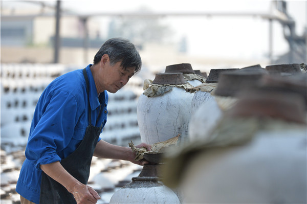 Liquor producer Xie Shouxian checks the fermentation of huangjiu in Shenyonghe Brewery in Shaoxing during its winter brewing. (Photo provided to China Daily)