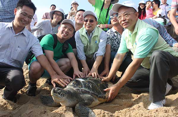 Animal lovers take pictures with a sea turtle in October before it is set free at the National Huizhou Sea Turtle Reserve. Cai Ruizhi / For China Daily