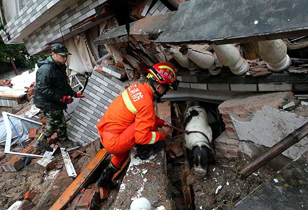 Rescuers and a sniffer dog search for survivors at the landslide site in Suichang county, Zhejiang province, on Thursday.(Lin Yunling/For China Daily)