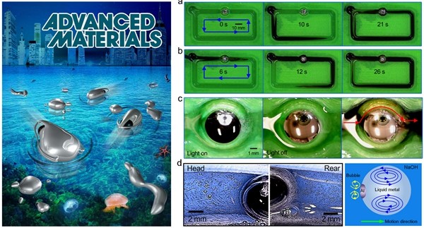 Cover of an issue of Avanced Materials published last year and illustrations of its findings. (Photo from web)