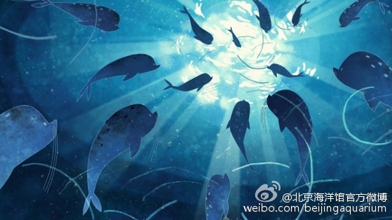Beijing Aquarium (Photo/Official Weibo account of Beijing)