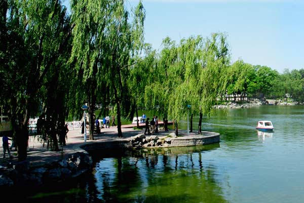 Longtan Park (Photo/Official Weibo account of Longtan Park)