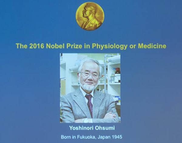Photo taken on Oct. 3, 2016 shows a portrait of Yoshinori Ohsumi in Stockholm, Sweden. Japanese biologist Yoshinori Ohsumi has won this year's Nobel Prize for Physiology or Medicine for his discovery on how cells in the body break down and recycle protein. (Xinhua/Shi Tiansheng)